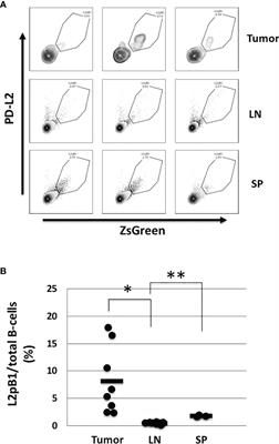 L2pB1 Cells Contribute to Tumor Growth Inhibition